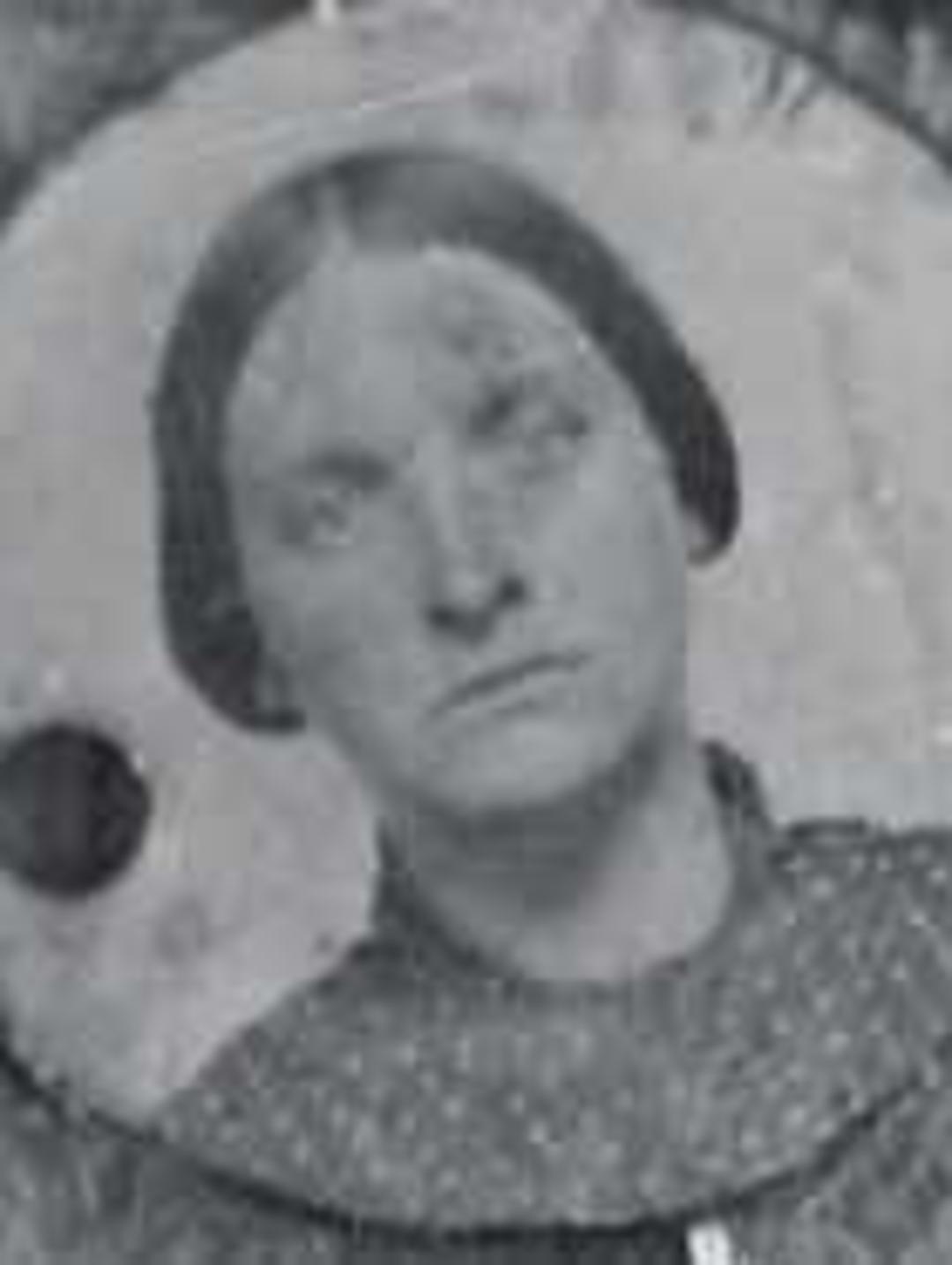 Mary Davies (1831 - 1869) Profile